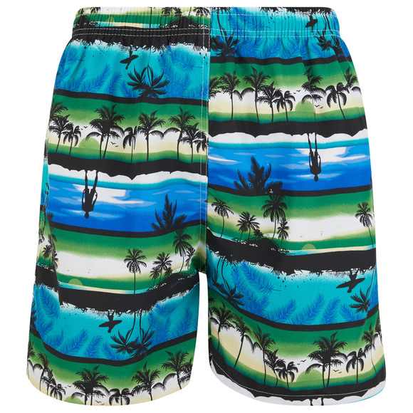 Mens Swim Trunks Swimming Shorts Board Bathing Suit, Small Medium Large X-Large - Picture 1 of 8